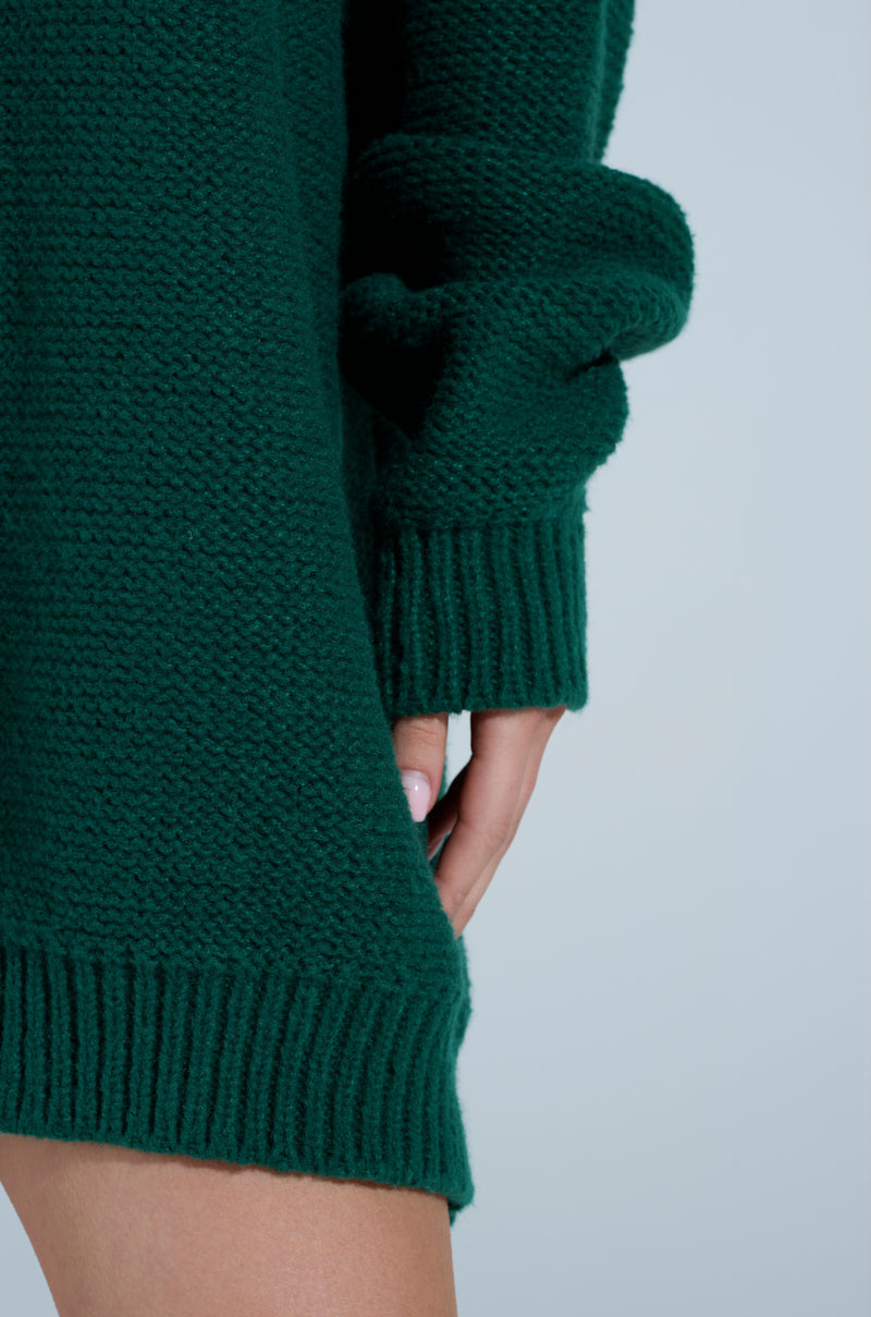 TOO PRETTY PRINTED SWEATER DRESS